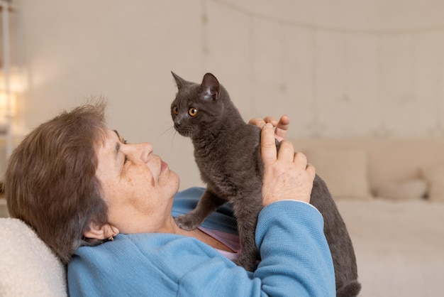 Elderly people take care of cats and enjoy them at home