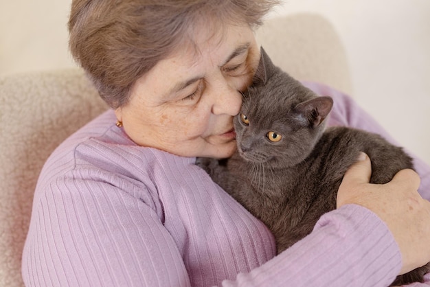 Elderly people take care of cats and enjoy them at home