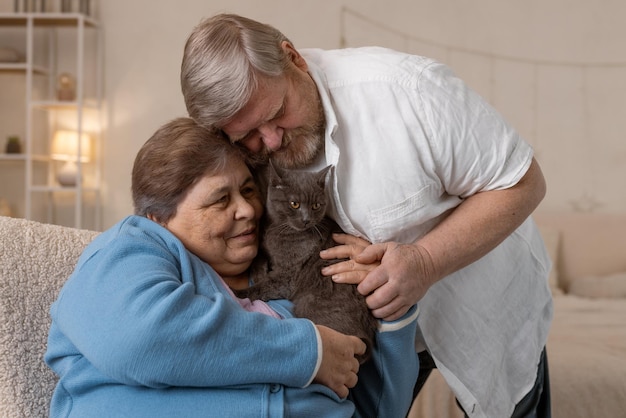 Elderly people take care of cats and enjoy them at home