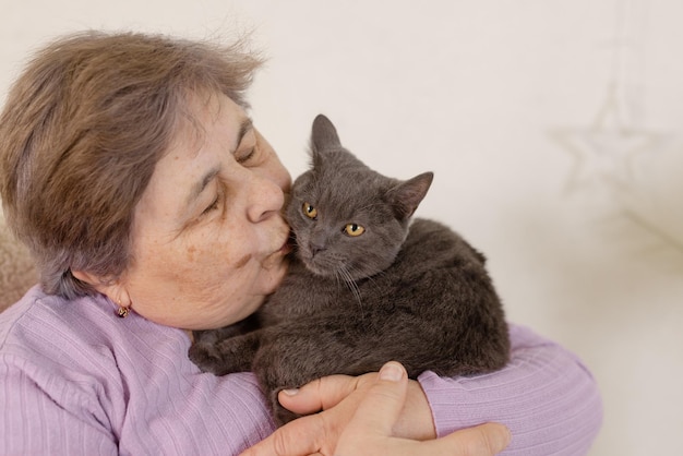 Elderly people take care of cats and enjoy them at home