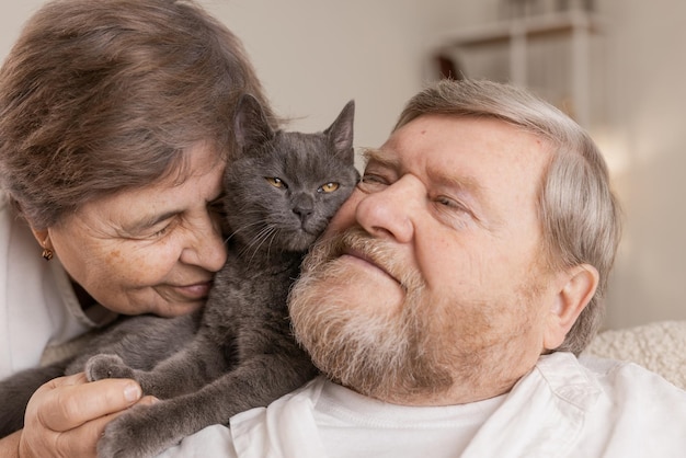 Elderly people take care of cats and enjoy them at home