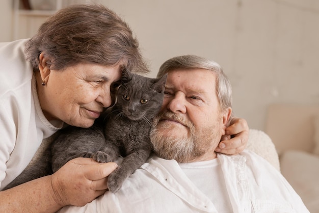 Elderly people take care of cats and enjoy them at home