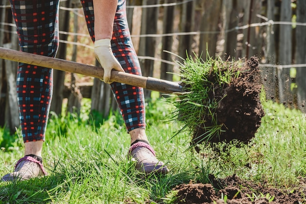 An elderly woman digs the earth with a shovel in her garden in the village