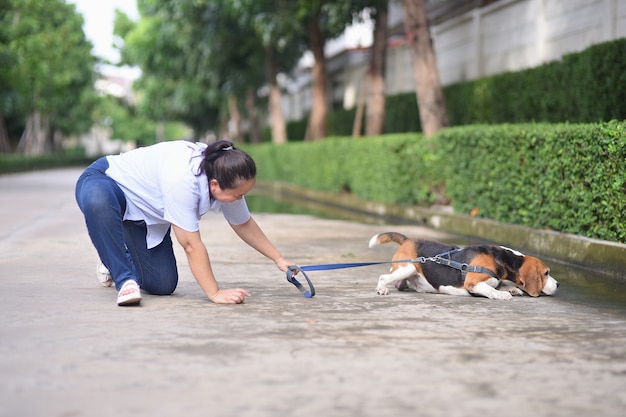 An elderly woman falls while walking the dog