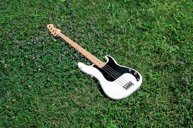 Electric Bass in The Grass