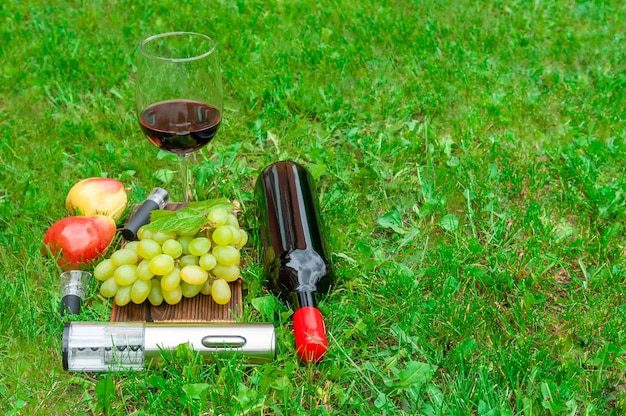 An electric corkscrew lies on the grass Near the cork and aerator for wine In the background