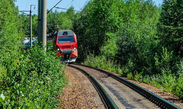 An electric locomotive with cars rides on rails in the middle of the forest.