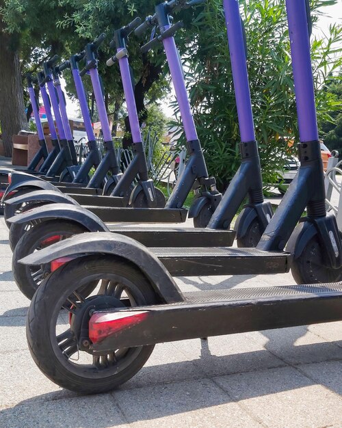 Electric scooters waiting at the curb ready to be rented and driven away