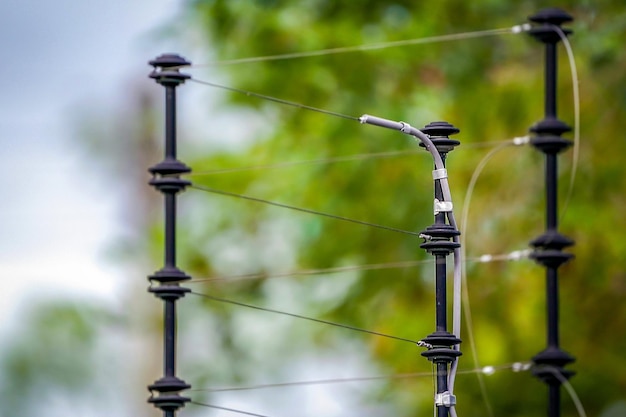 Electric shock cable and pole with the blur green tree background.