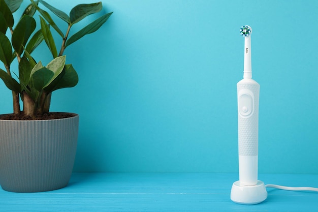 Electric toothbrush with green flower on blue background