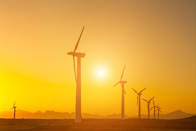 Electric wind turbines farm silhouettes on sun background