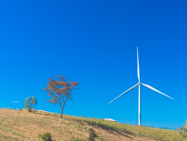 Electricity wind turbine generate electric with blue sky in background.