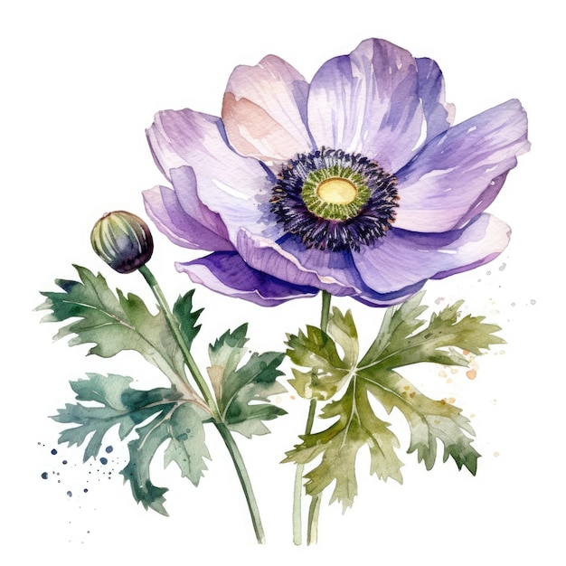 Elegant Anemone Flower Watercolor on White Background for Wedding Invitations Generative AI