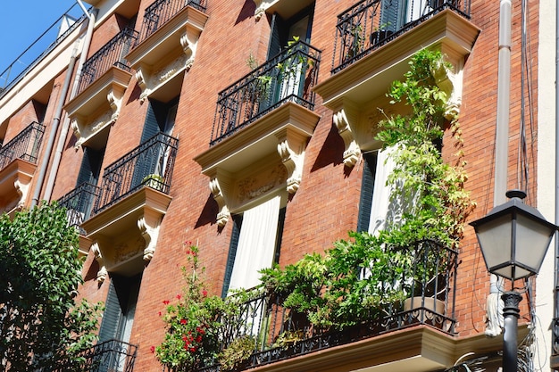 Elegant balconies with greenery on the retro building downtown Madrid Spain