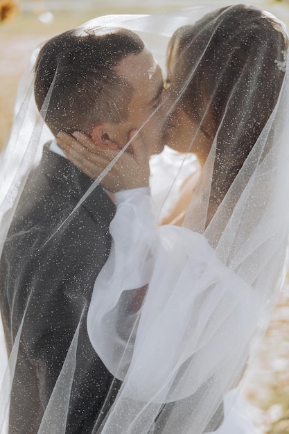 Elegant beautiful couple under veil Hugs on each other