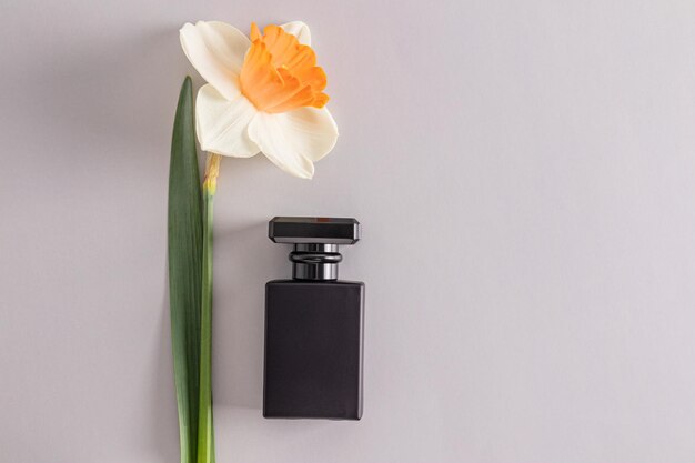 Elegant black matte bottle with floral fragrance on light background Blank mockup of a bottle Product Presentation Copy Space