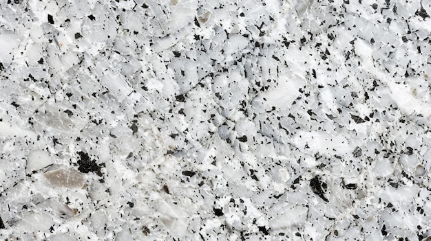 Elegant Black and White Speckled Marble Surface Texture CloseUp