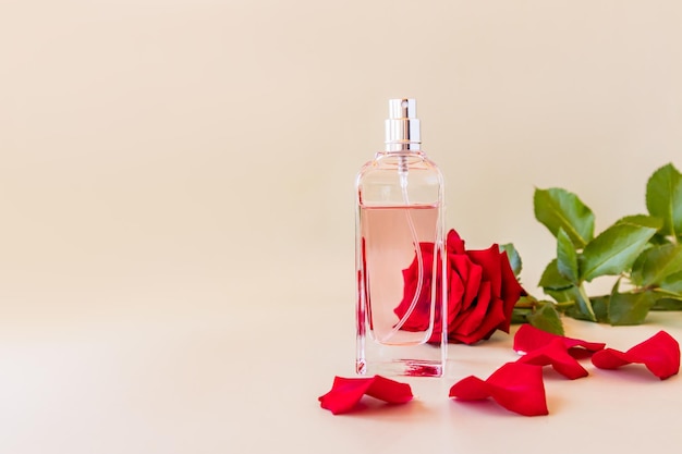 An elegant bottle of women's perfume or toilet water against the backdrop of a beautiful red rose aroma presentation space for text