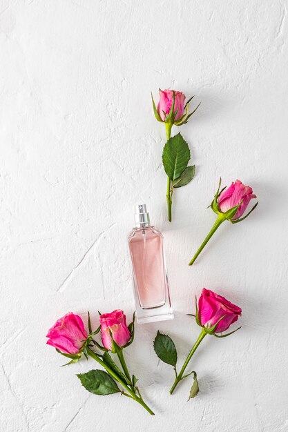 An elegant bottle of women's perfume on a white textured background among live pink rosebuds Top vertical view Flat lay A template for a product