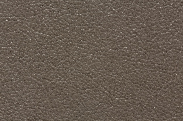 Elegant leather background in simple grey tone