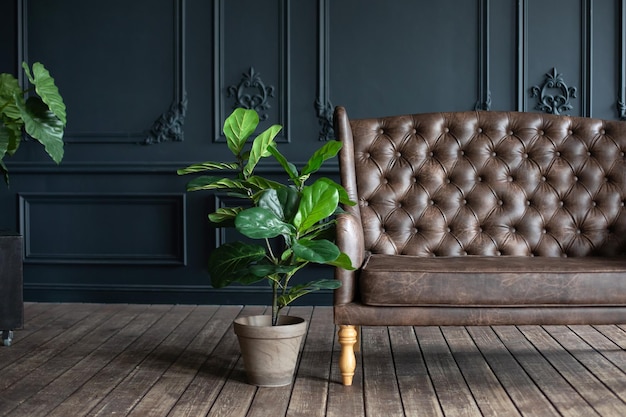 Elegant living room interior in loft style with Brown couch with Large green houseplant in potted