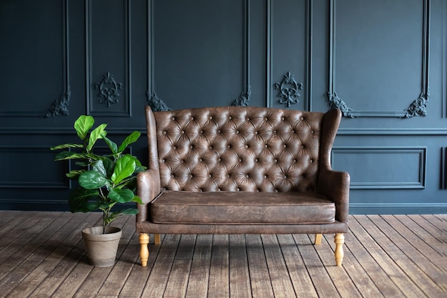 Elegant minimalist living room interior in retro style with Brown couch in dark room