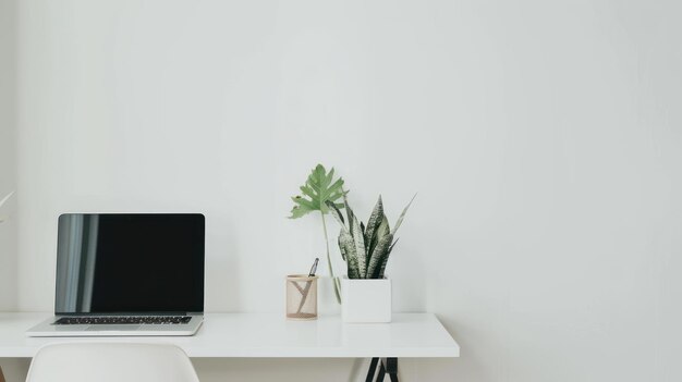 Elegant Minimalist Workspace with a White Desk a Laptop and a Single Plant