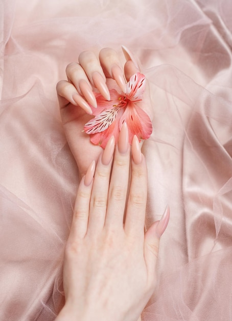 Elegant pastel pink natural manicure