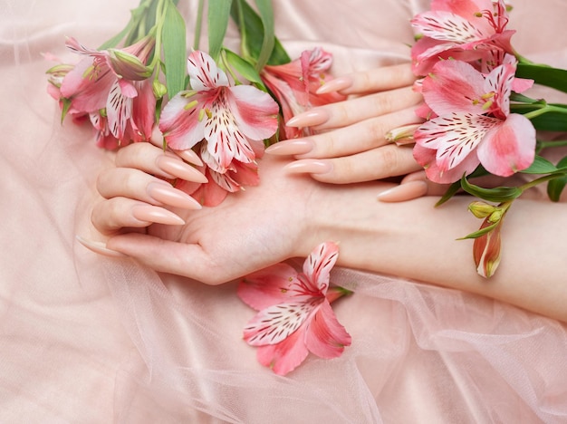 Elegant pastel pink natural manicure