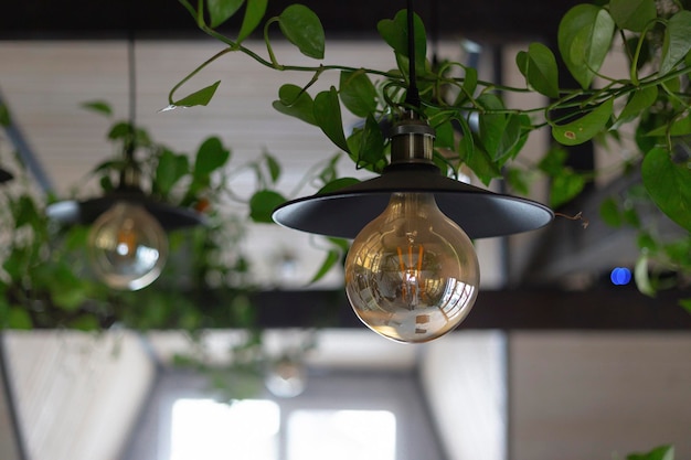 Photo elegant pendant lights surrounded by lush greenery in a cozy indoor cafe setting during daylight hours