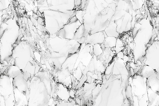 Elegant Veined Marble HighResolution Texture