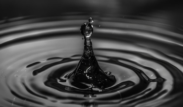 Elegant water drop splash in monochrome