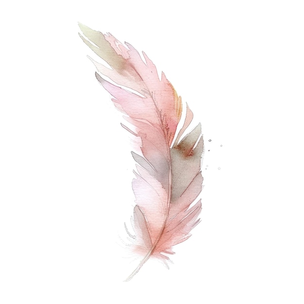 An elegant watercolor feather painted in a gradient