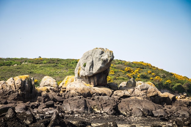 Elephant rock on Chausey island Brittany France