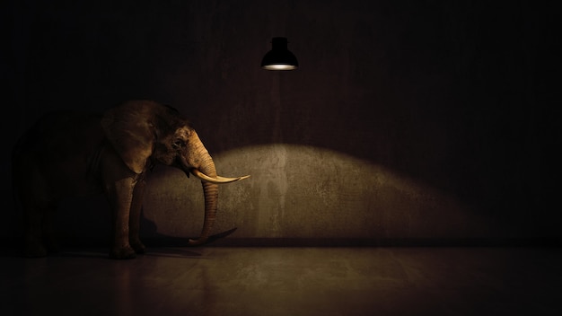 elephant in the room near wall Creative concept