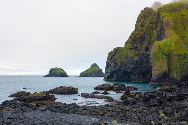 Elephant shape rock Vestmannaeyjar island beach Iceland