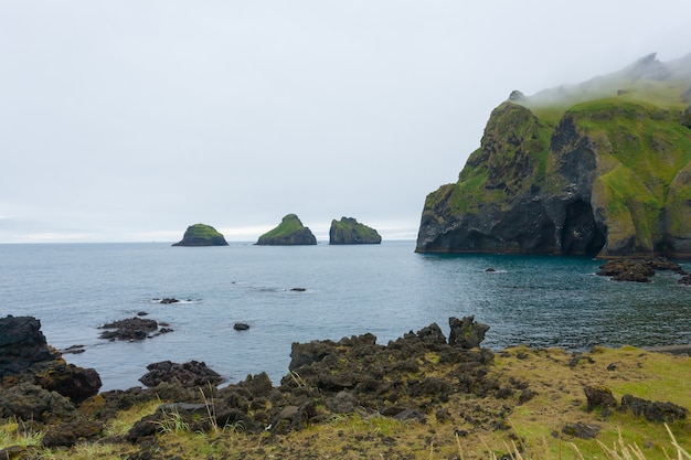 Elephant shape rock, Vestmannaeyjar island beach, Iceland