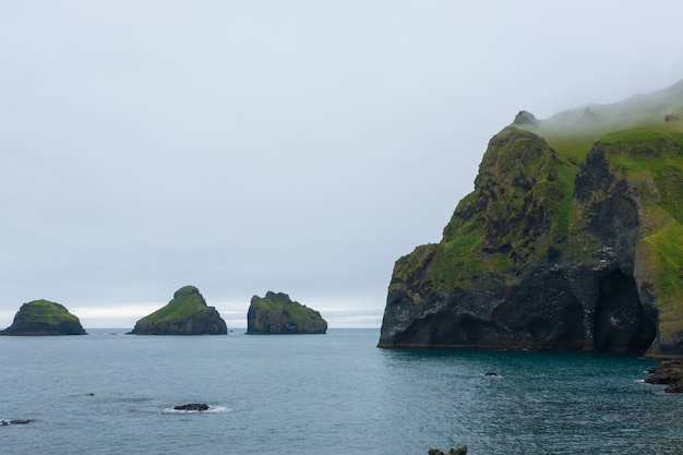 Elephant shape rock, Vestmannaeyjar island beach, Iceland