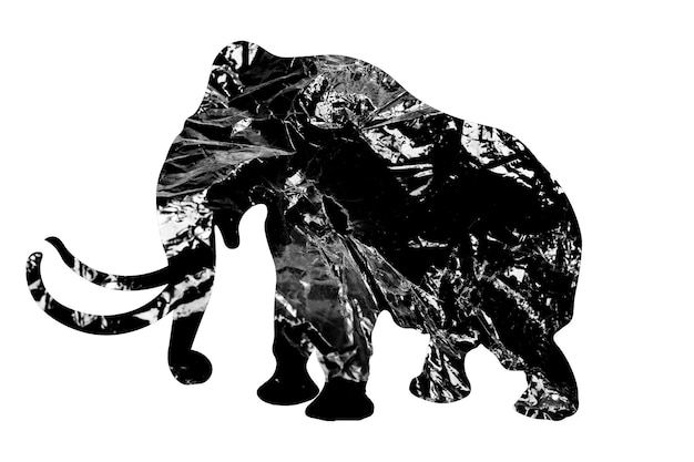 Elephant silhouette with polyethylene texture isolated on white background