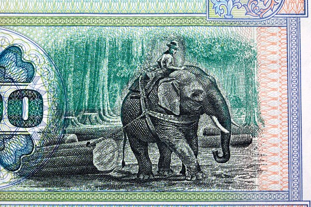 Elephant teaklogger from Myanmar money