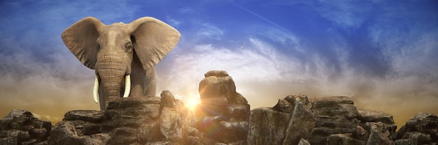 Elephants at sunset. 3d rendering