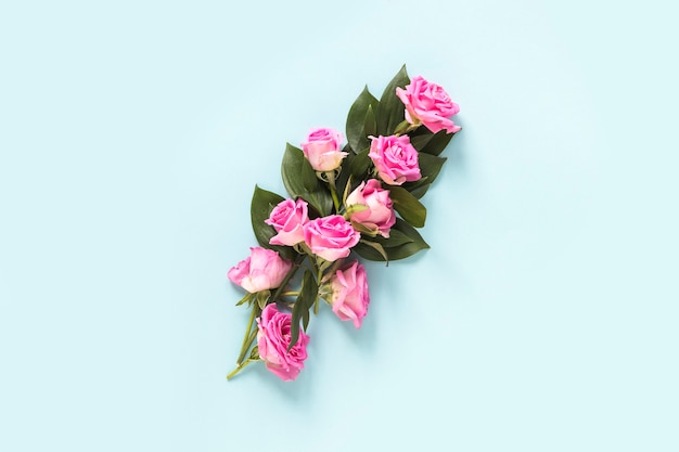 Elevated view of beautiful roses on blue background