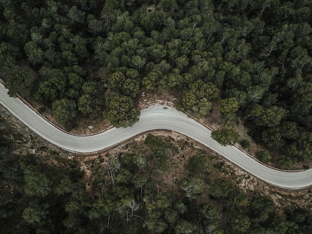 Elevated view of empty curve road through forest