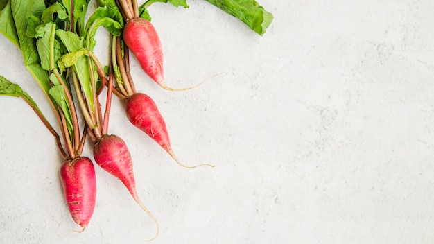 An elevated view of fresh red radish on marble white background