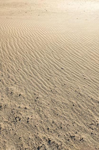 Embossed texture of sand on the beach grit close up