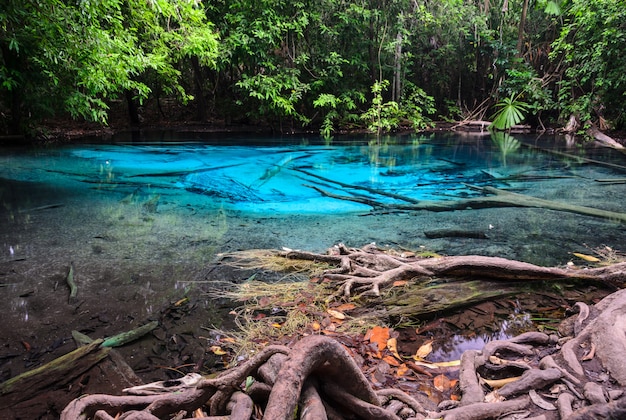 Emerald blue pool (Sra Morakot) in Krabi province, Thailand