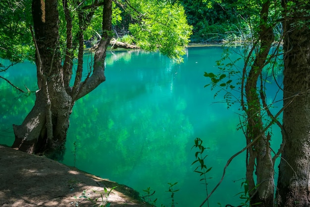 Emerald lagoon in a wild scenic forest