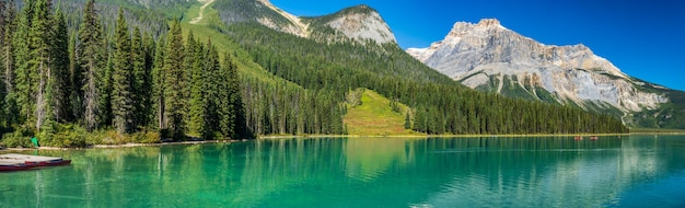 Emerald Lake in summer with beautiful leafy forest around