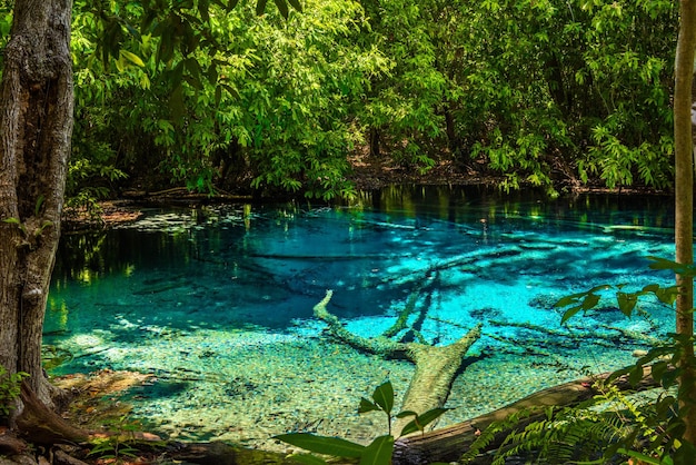 Emerald Pool Yosemite National Park Krabi Thailand