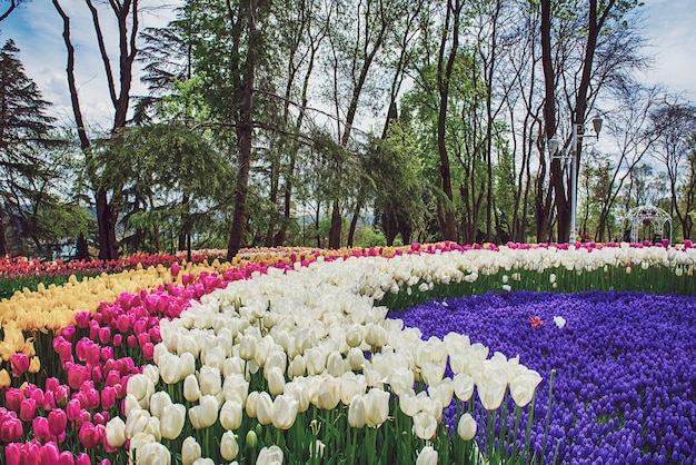 Emirgan Park Istanbul